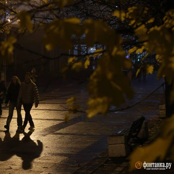 Источник: Марина Мамонтова / «Фонтанка.ру»