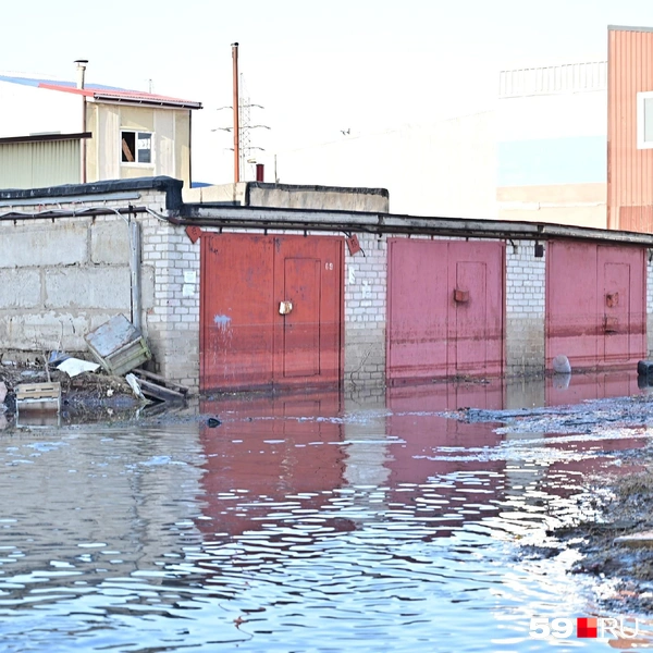 По линиям на гаражных воротах видно, на каком уровне была вода | Источник: Василина Любимова / 59.RU