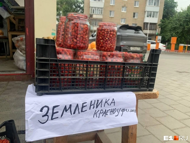 Источник: Дарья Манохина / E1.RU