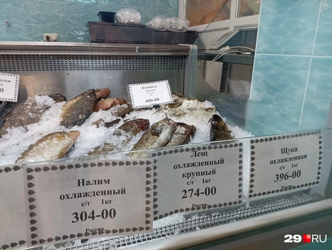 Источник: Иван Митюшёв / 29.RU