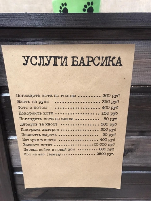 Услугу «Дернуть за хвост» в прайс внесли ради шутки. Мучить котика никто не собирается | Источник: Василий Кучумов