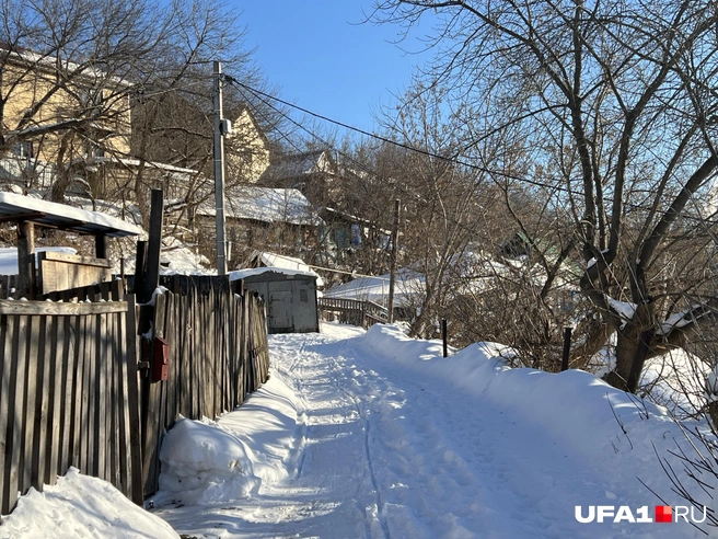 Все собаки района в курсе, что кто-то пришёл | Источник: Андрей Бирюков / UFA1.RU