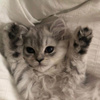 userpic__malish23190