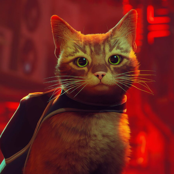 Игра дня: «Stray», где милый котик путешествует по закоулкам города будущего