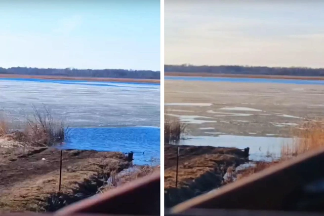 Фотограф Милена Пономарева опубликовала 20-секундное видео | Источник: «Охотник за красотами Омской области» / vk.com