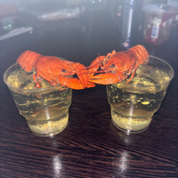 Аватарка Lelya Kuleshova