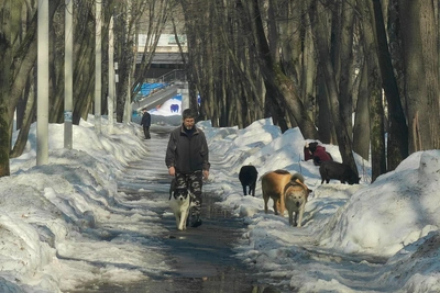 Погода в Рязани на старте рабочей недели