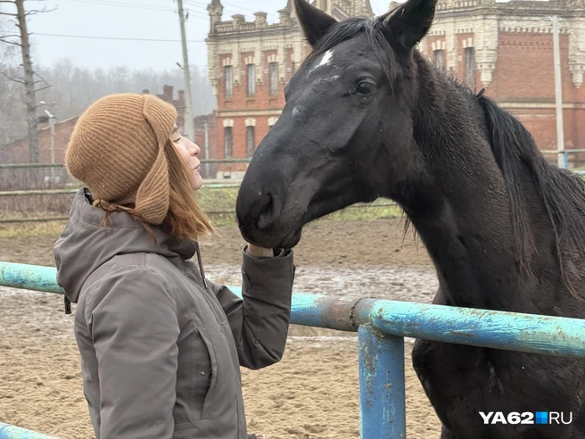 С лошадкой со звездочкой во лбу тут же завязались дружеские отношения | Источник: Сергей Петунин / YA62.RU