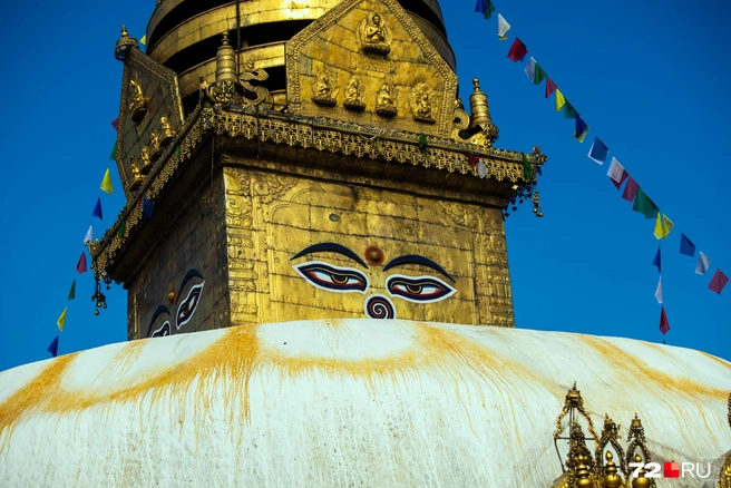 Источник: Екатерина Бурко