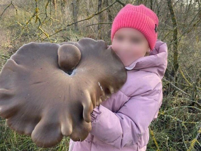 Впечатляющие размеры гриба. | Источник: читательница V1.RU