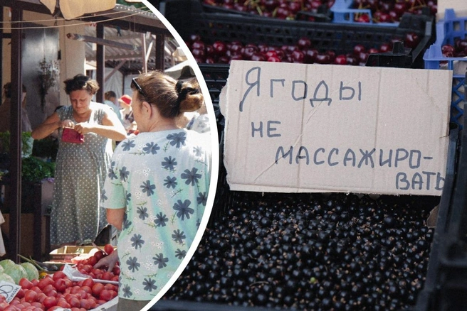 Купить у дачников можно что угодно — от саженцев до домашних яиц | Источник: Лина Саитова / 116.RU