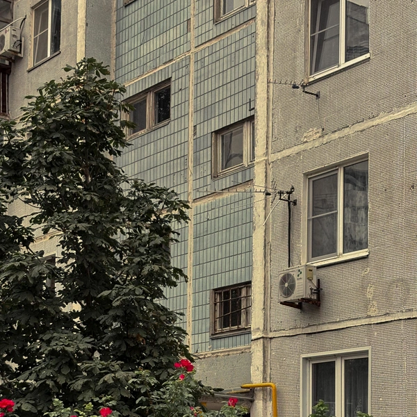Источник: scherbakova.ph / Instagram (соцсеть запрещена в РФ)
