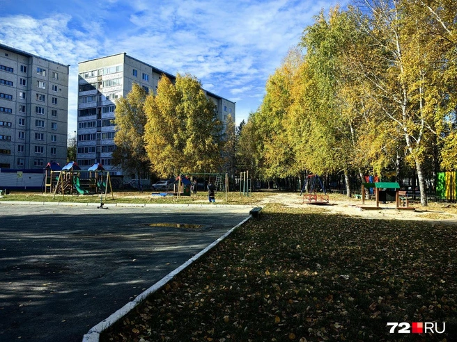 В рамках современной Тюмени можно сказать, что это пространство — практически парк | Источник: Павел Красоткин / 72.RU 