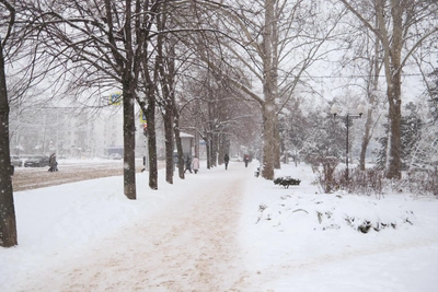Severe frost instead of precipitation in Krasnodar Krai