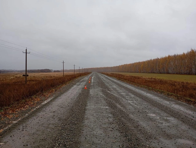 Источник: УМВД России по Оренбургской области