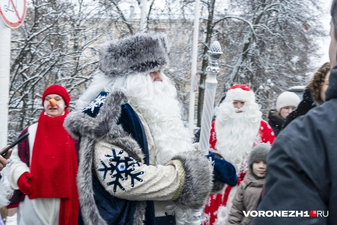 Источник: Дмитрий Волгин / Voronezh1.ru