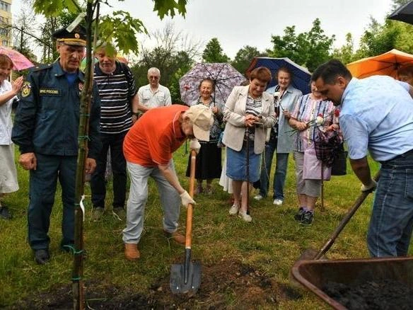 Родственники получили разрешение на посадку дерева от местных властей | Источник: мэрия Ярославля