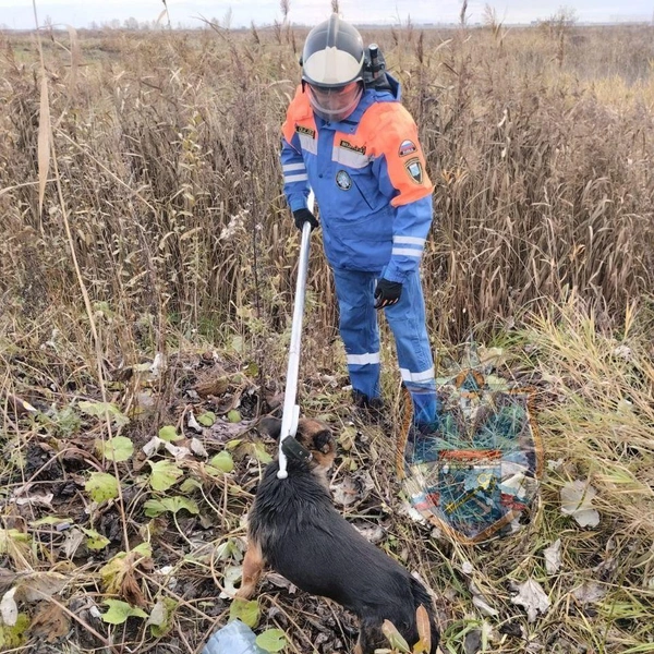 Источник: Аварийно-спасательная служба ЛО