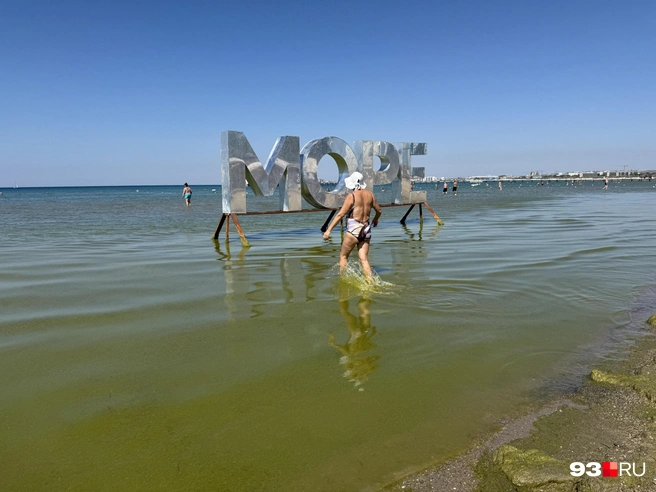 Многих водоросли не смущают | Источник: Валерия Дульская / 93.RU