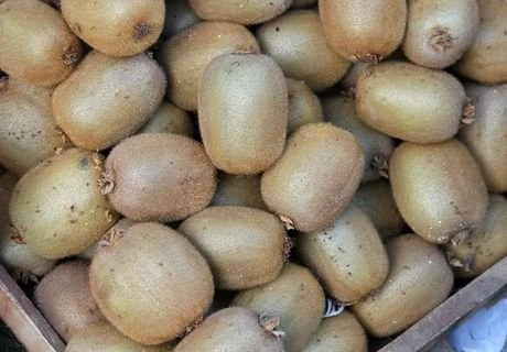 В Калининграде уничтожили 700 кг киви из Италии | 62.ru