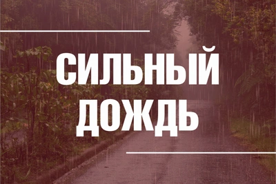 Сильный дождь ожидается во Владимирской области