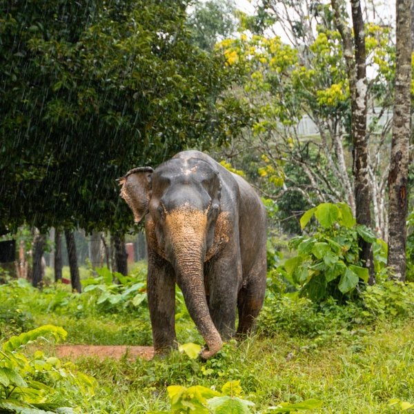 Источник: laurenfinchy/Shutterstock/Fotodom.ru