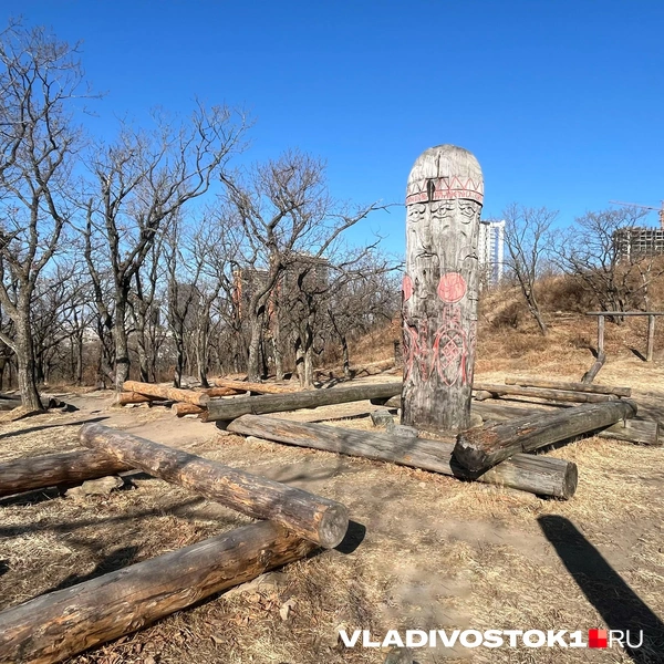 Источник: Елена Буйвол / VLADIVOSTOK1.RU