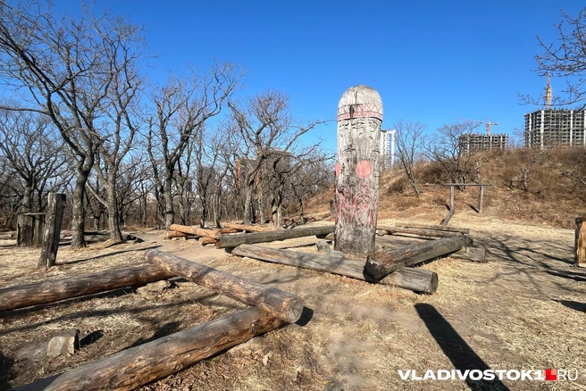 Источник: Елена Буйвол / VLADIVOSTOK1.RU