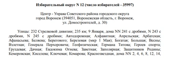 Источник: избирательная комиссия Воронежской области / Voronezh.izbirkom.ru