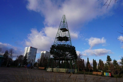 Главную елку Волгограда собирают несмотря на непогоду