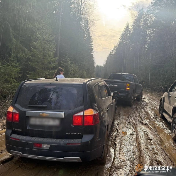 Источник: читатель «Фонтанки»