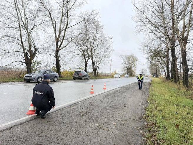 Ведь до этого уральца ни разу не штрафовали за нарушение правил дорожного движения | Источник: Госавтоинспекция Свердловской области