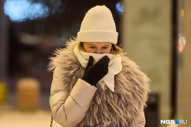 Прогноз погоды на 13, 14 декабря | Источник: Александр Ощепков / NGS.RU