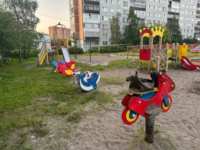 Сумка была оставлена на одной из качелей | Источник: Алёна Родионова