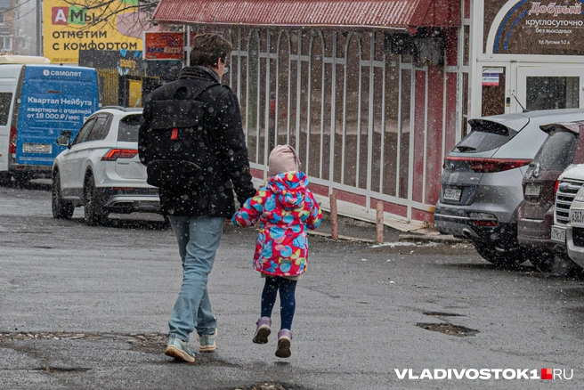 Источник: Елена Буйвол / VLADIVOSTOK1.RU
