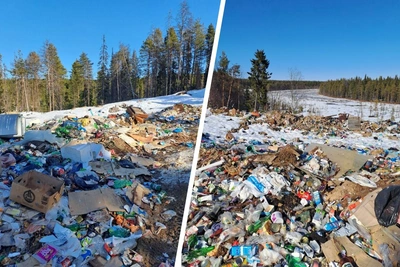 Бывшие ягодные поляны завалены мусором в Архангельской области