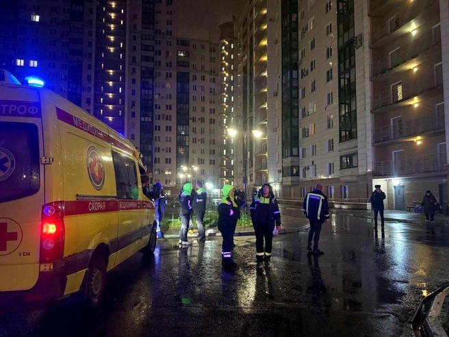 Источник: Глава городского округа Красногорск Дмитрий Волков / T.me