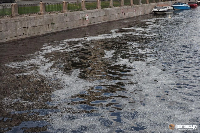 Погода в Петербурге резко изменится в середине дня | Источник: Михаил Огнев / «Фонтанка.ру»