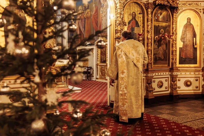 Источник: Андрей Воробьев / T.me