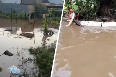 Июнь 2026 года стал самым дождливым в Оренбургской области за 26 лет