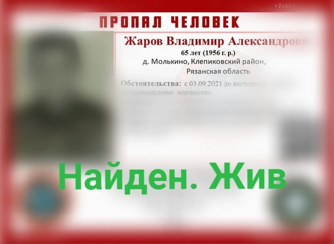 Пропавший в Клепиковском районе пенсионер найден живым | ya62.ru