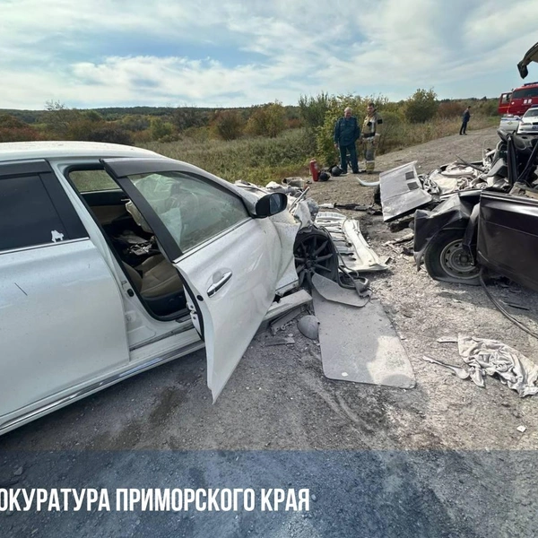 Источник: прокуратура Приморского края