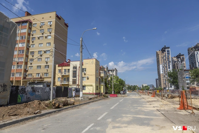 Борьба со взрослыми, дающими тень, деревьями — давняя традиция благоустройства Волгограда | Источник: Константин Завриков / V1.RU
