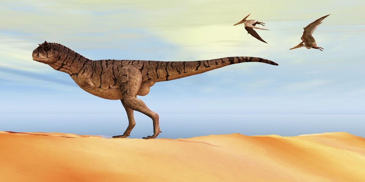 Родня кинозвезды: открыт еще один динозавр с крайне недоразвитыми передними лапами