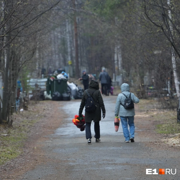 Источник: Кирилл Кушнов / E1.RU
