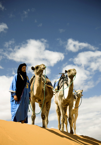 Капитан пустыни: на что похожа жизнь погонщика верблюдов | Вокруг Света