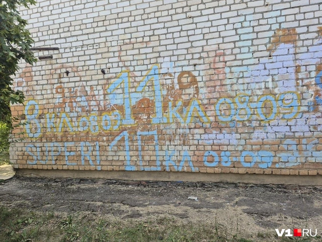 Надписи сделаны выпускниками прошлых лет и оставлены на память о школьных временах | Источник: Ирина Яковлева / V1.RU