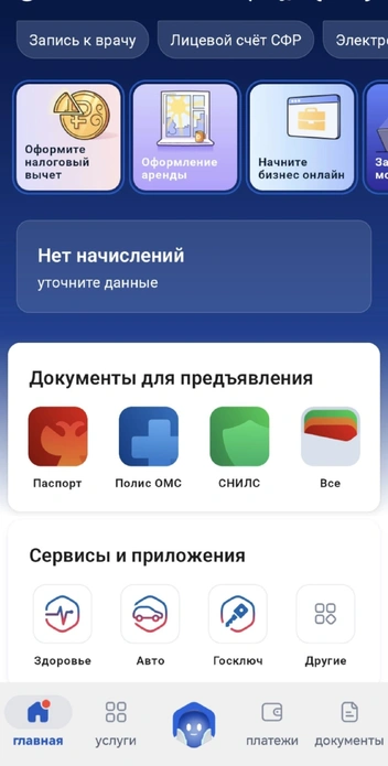 Источник: Gosuslugi.ru