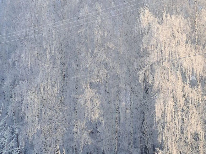 За городом царила настоящая зимняя сказка. | Источник: читатель 74.RU