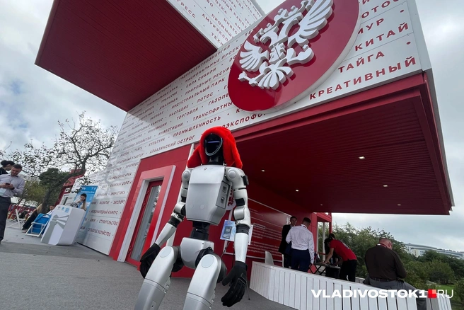 Форум пройдет в сентябре | Источник: Елена Буйвол / VLADIVOSTOK1.RU
